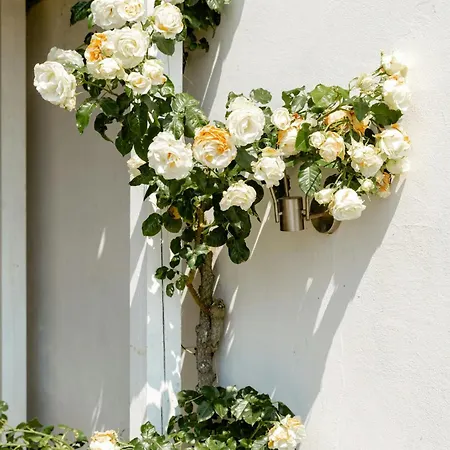 Old Farmstead With Field Views Hébergement de vacances Stege