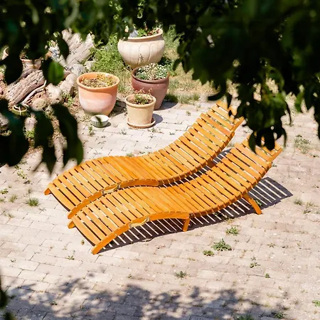 Old Farmstead With Field Views *