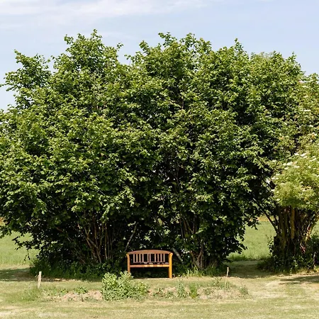 Hébergement de vacances Old Farmstead With Field Views *